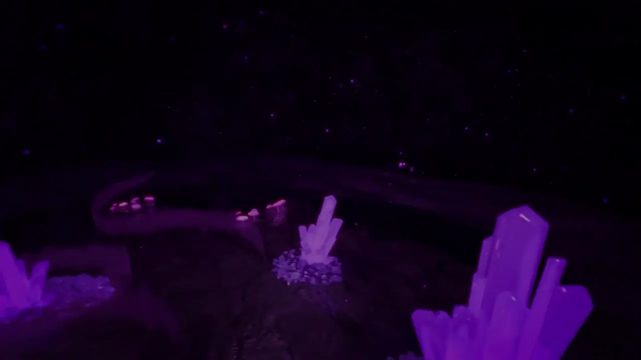 Muffet's web
