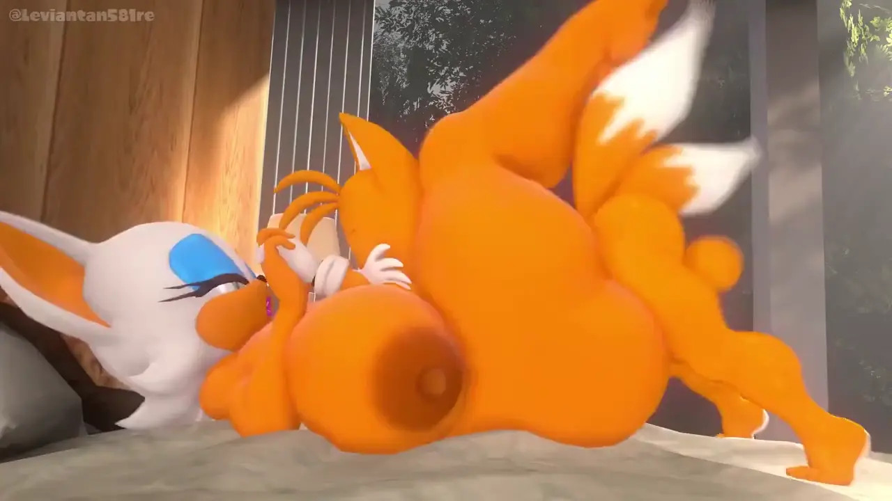 Tails and Rouge