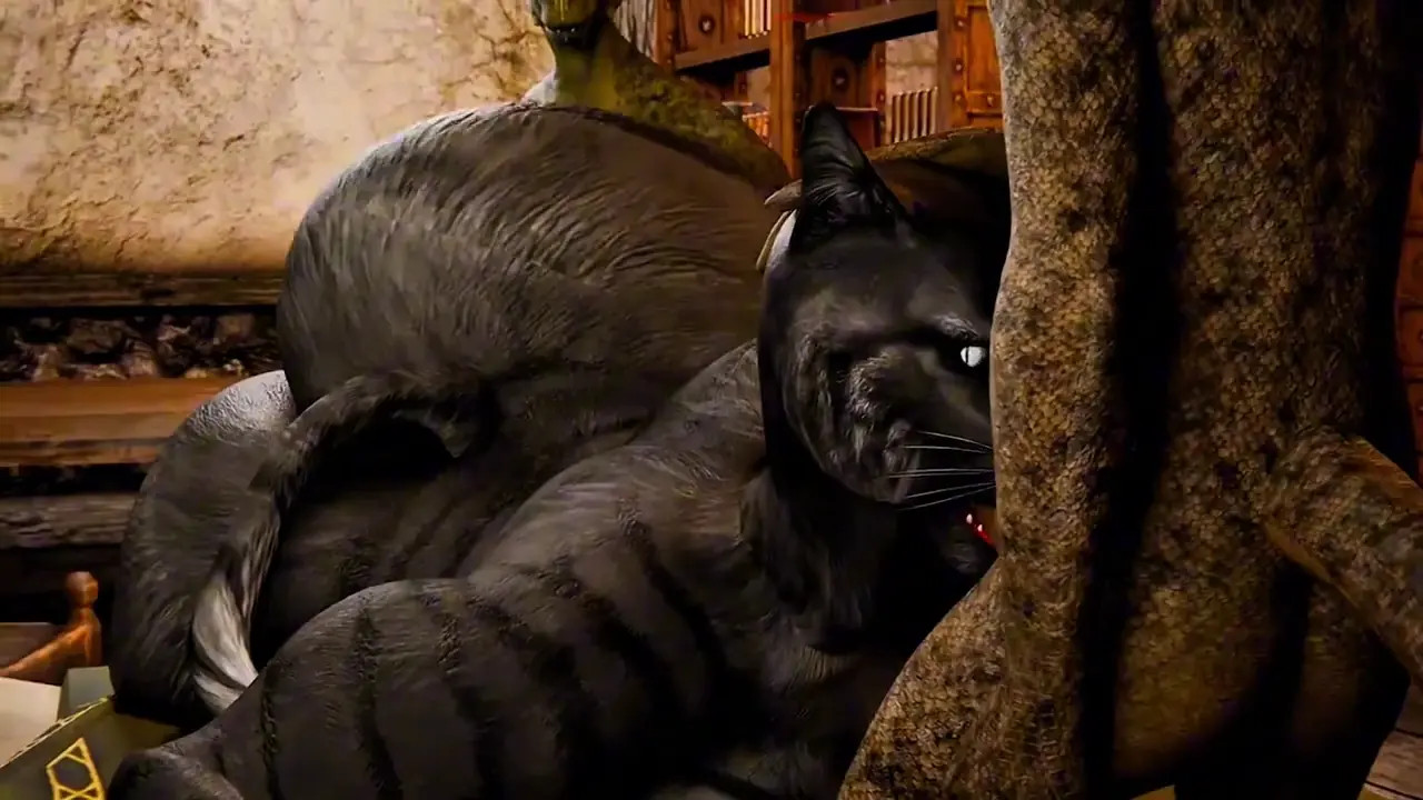 The lizards and the cat