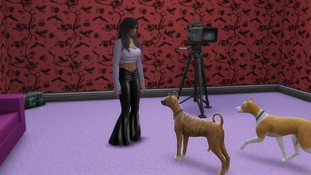 Canine Desires : Marcia