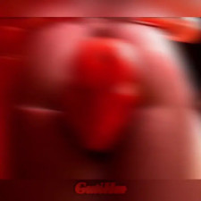 The Bordello Calarel