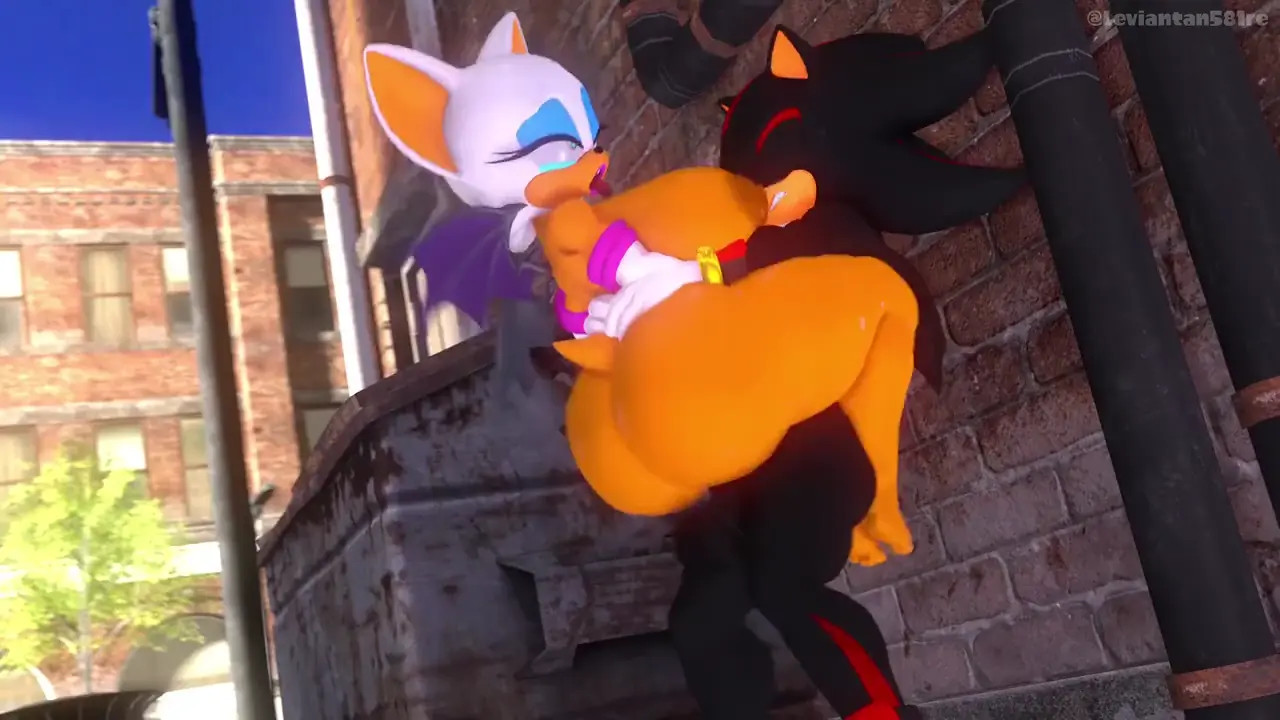 Shadow fucking Rouge in the alley (Sound)