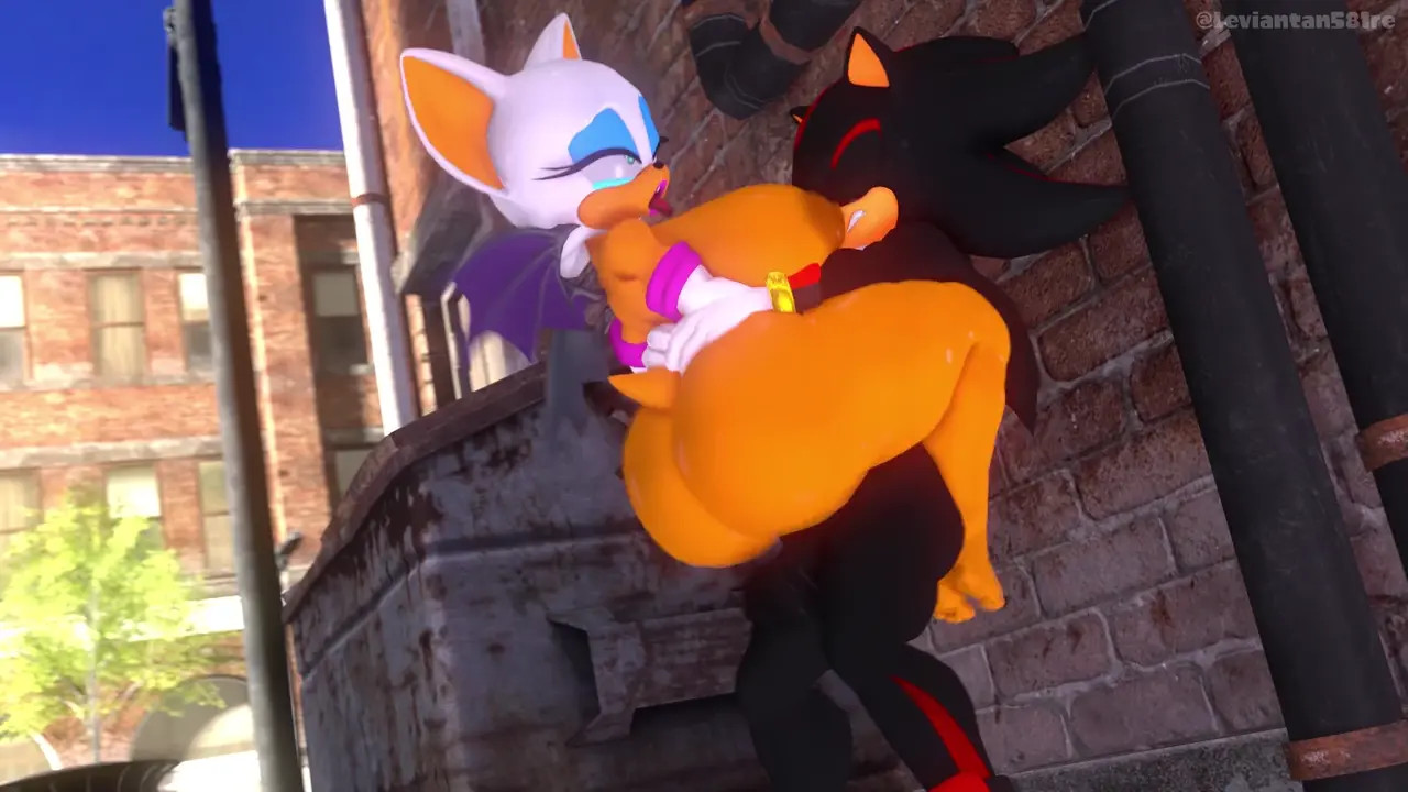 Shadow fucking Rouge in the alley