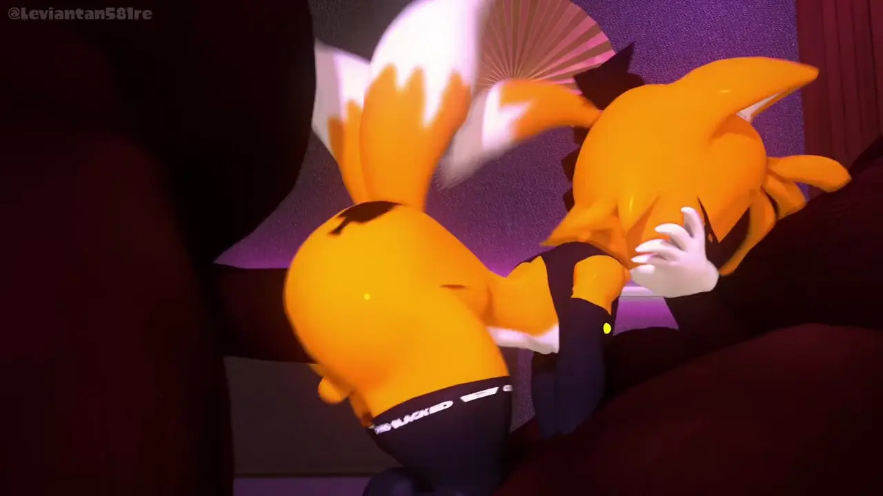 Tails VIP Experience (Sound Verison)