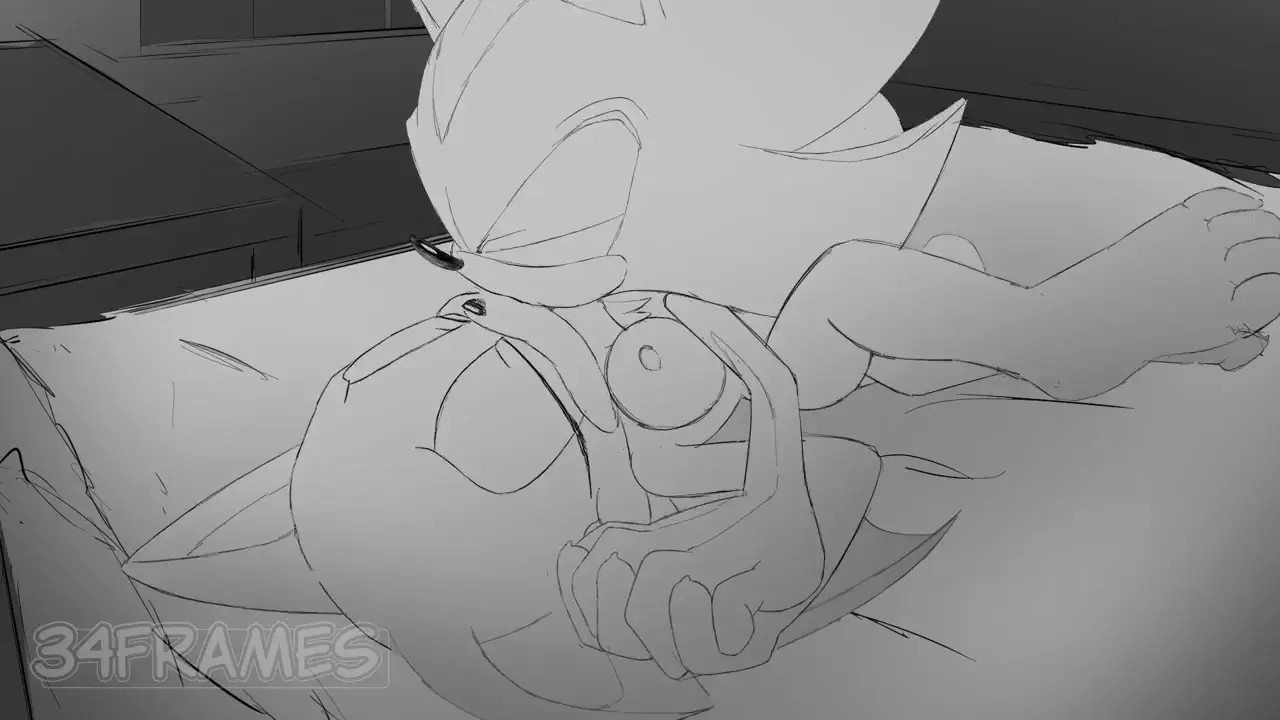 Rouge and Shadow
