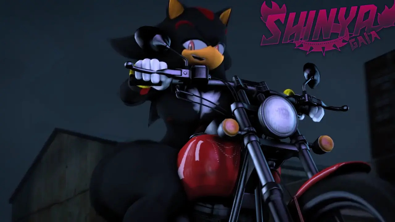Shadow Riding Motorcycle