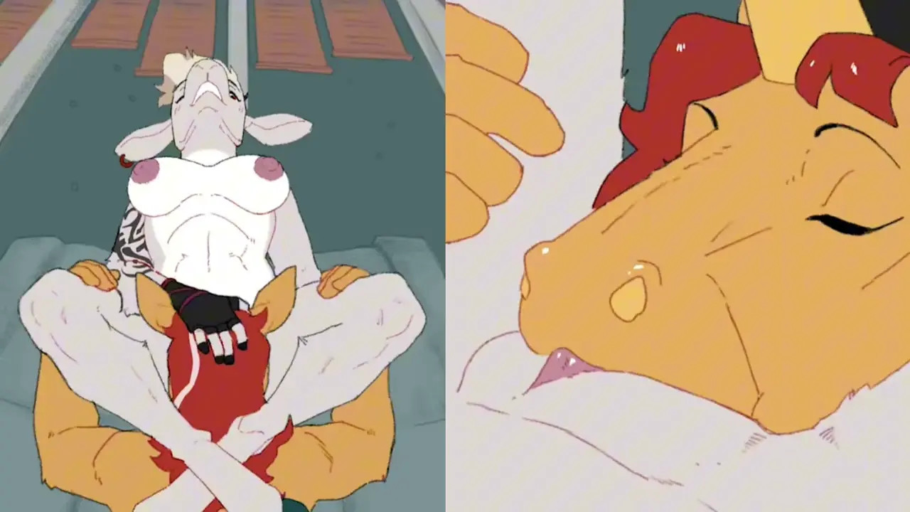 Furry 2D HMV