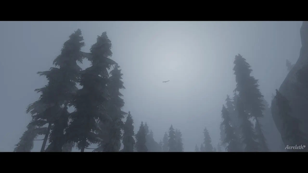 Final Wishes (Part 2)
