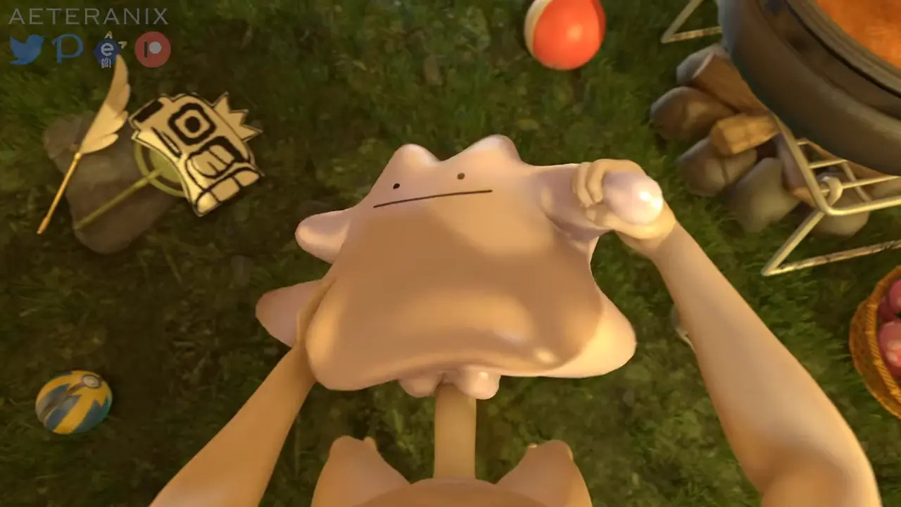 Ditto breeding