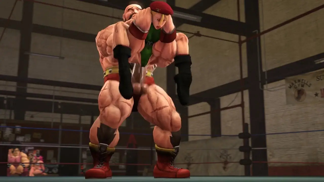 Street Fighter-Cammy (9s)