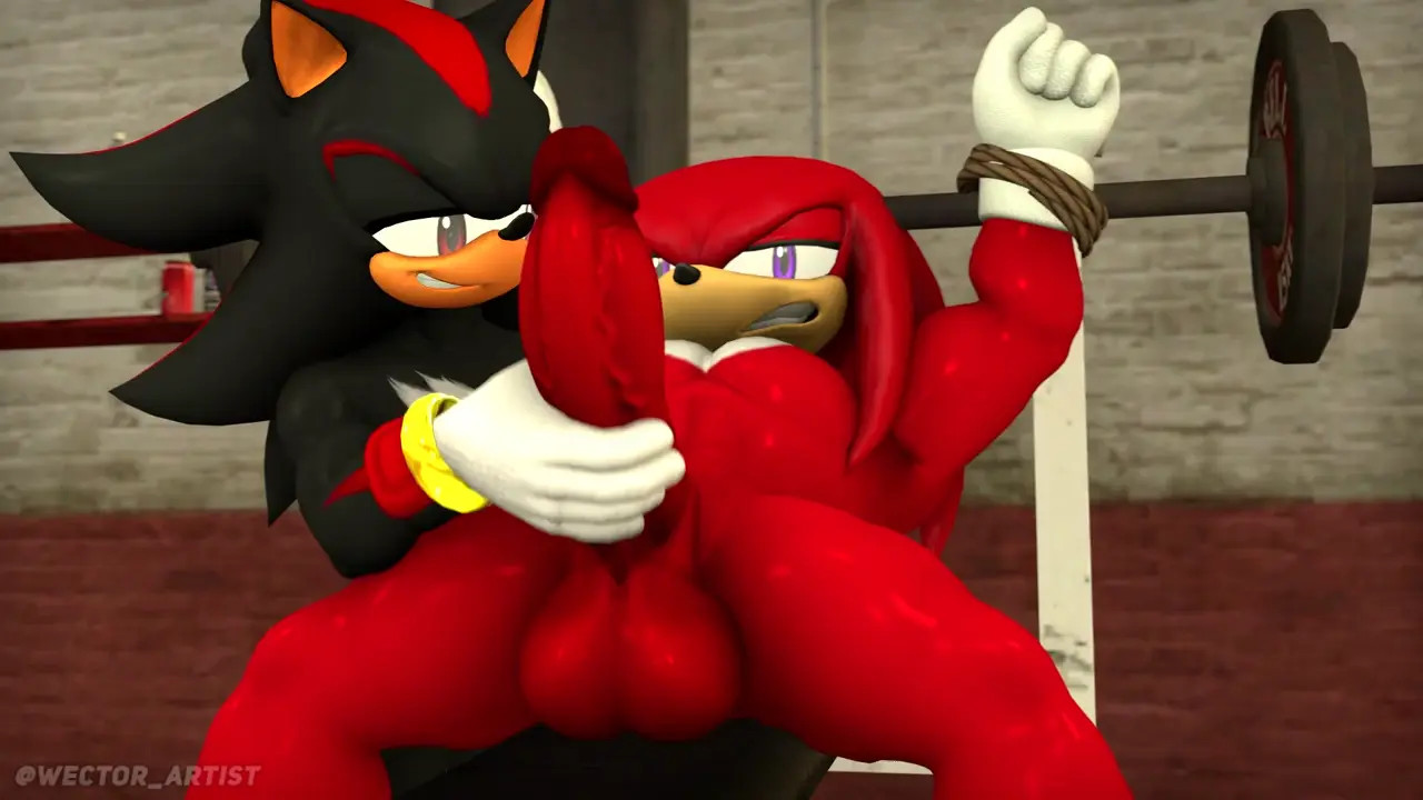 Shadow and Knuckles