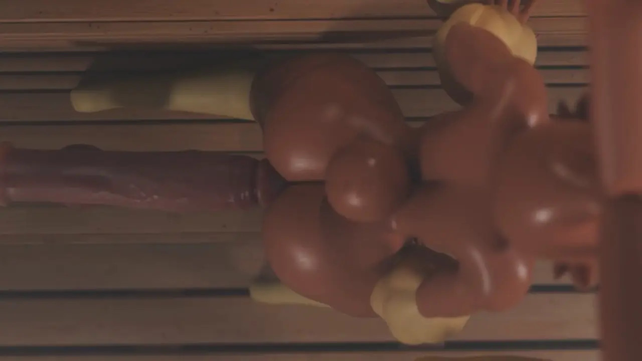 Loppuny gets fucked by a dildo