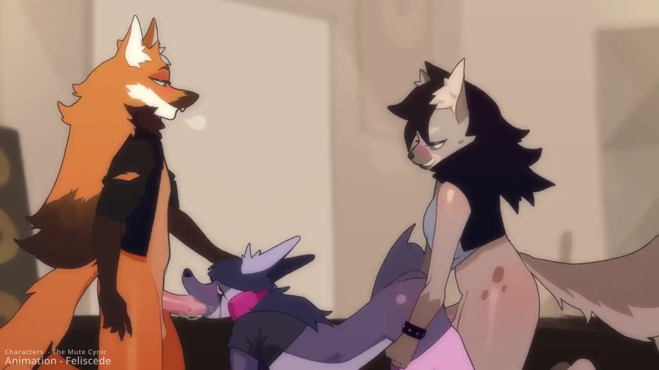 Spitroast『Feliscede』