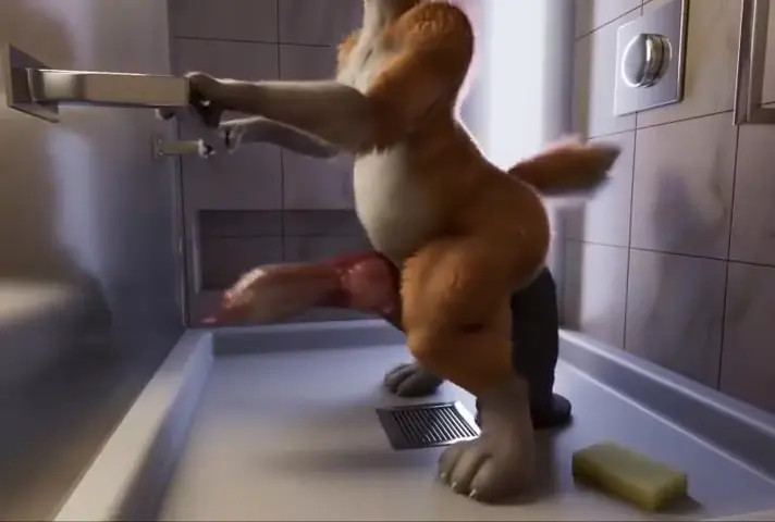 Corgi in shower