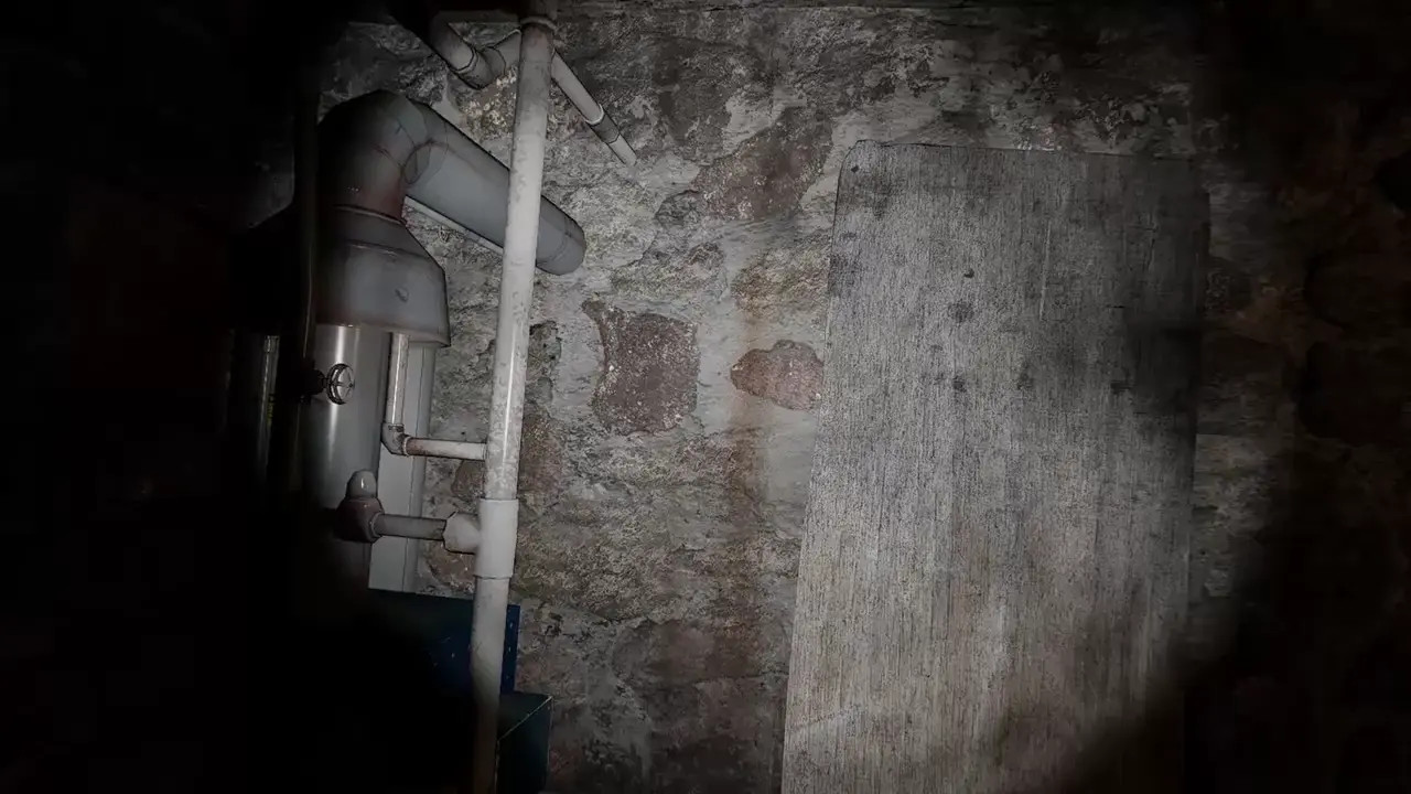 LADY D BASEMENT FUCK NASTY OLD MAN, AMAZON POSITION!
