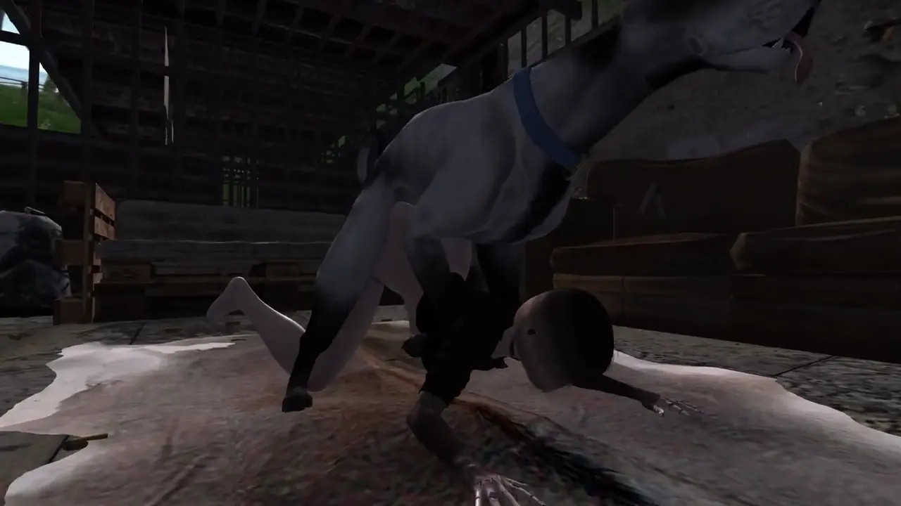 Canidae VI