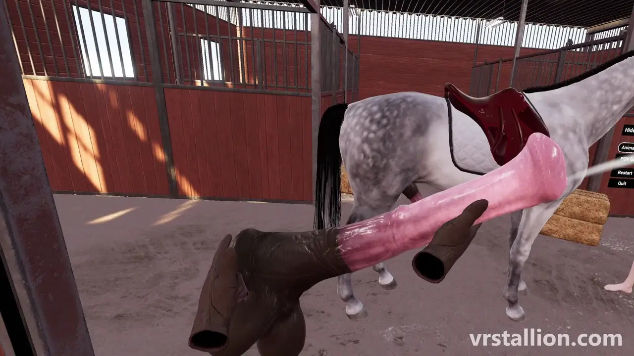 VR Gameplay | VR Stallion 1.9