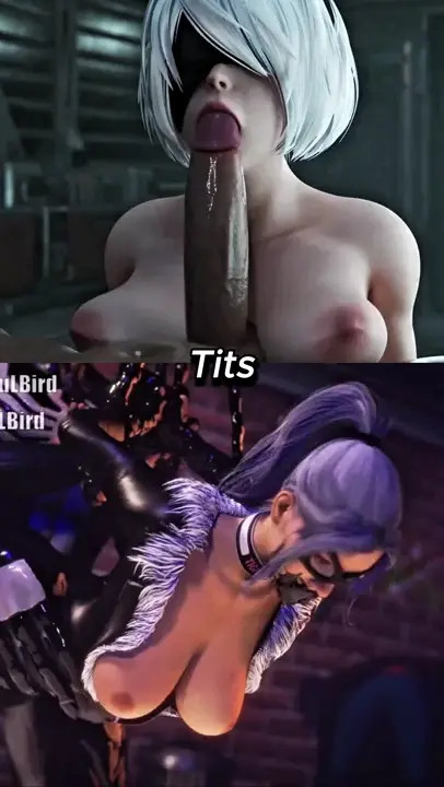 2b vs Black Cat (Requested)