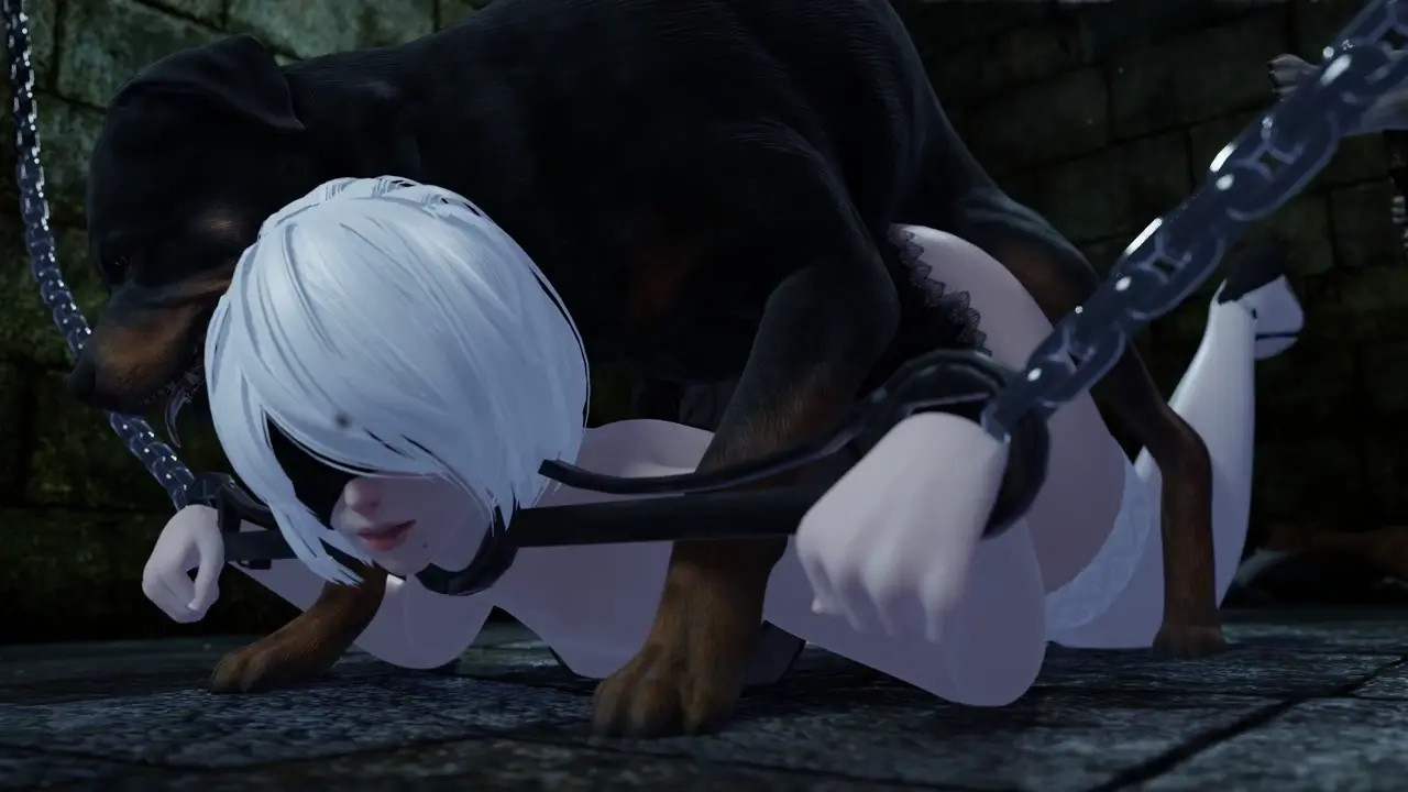 2b trapped and used by dog