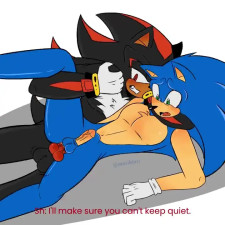 Shadow and Sonic [MaviBlurr]