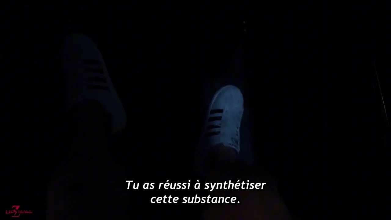 The Rise of a Villain - Harley Quinn [Dezmall] [FRENCH-SUB]
