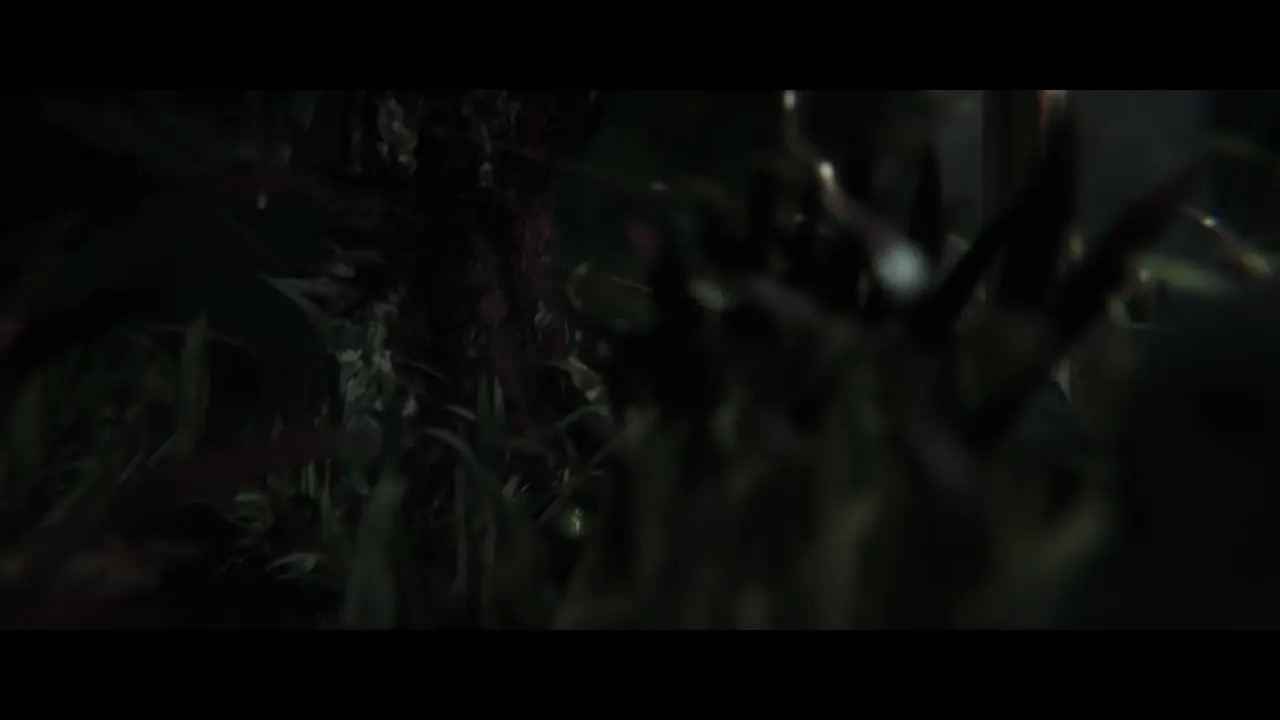 The Witcher: Animal Sluts