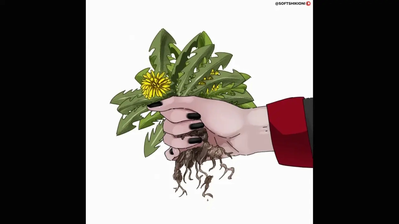 Tsurugis Gift [Softshikioni]