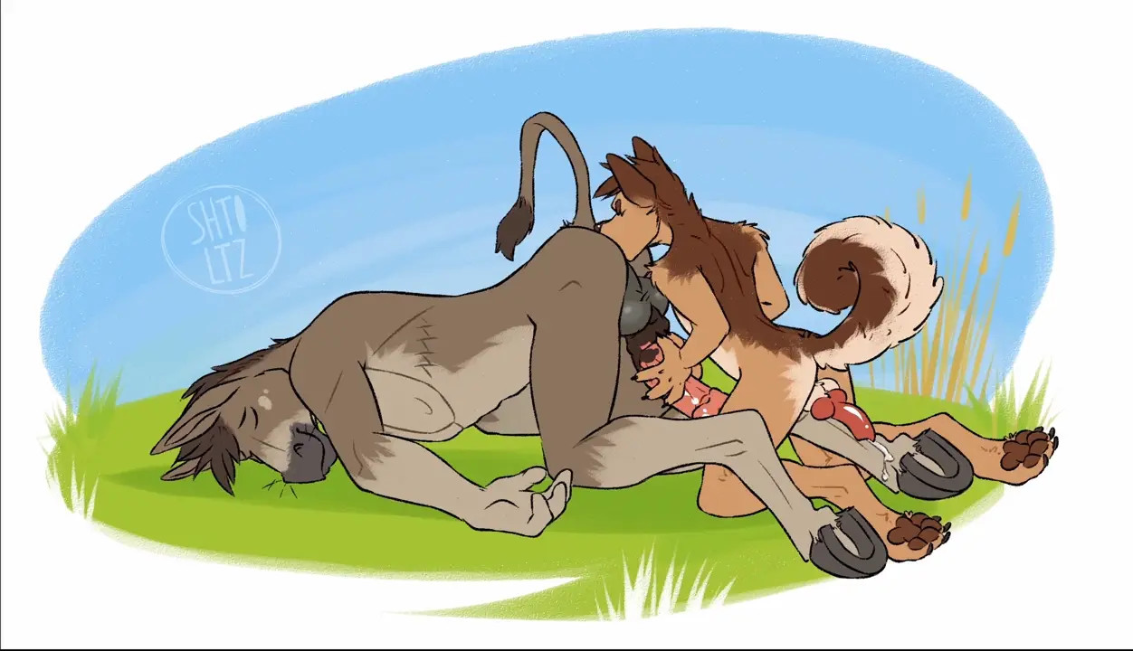 In a meadow