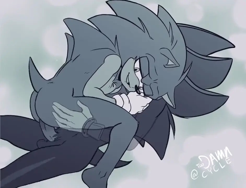 Sonic Riding Shadow
