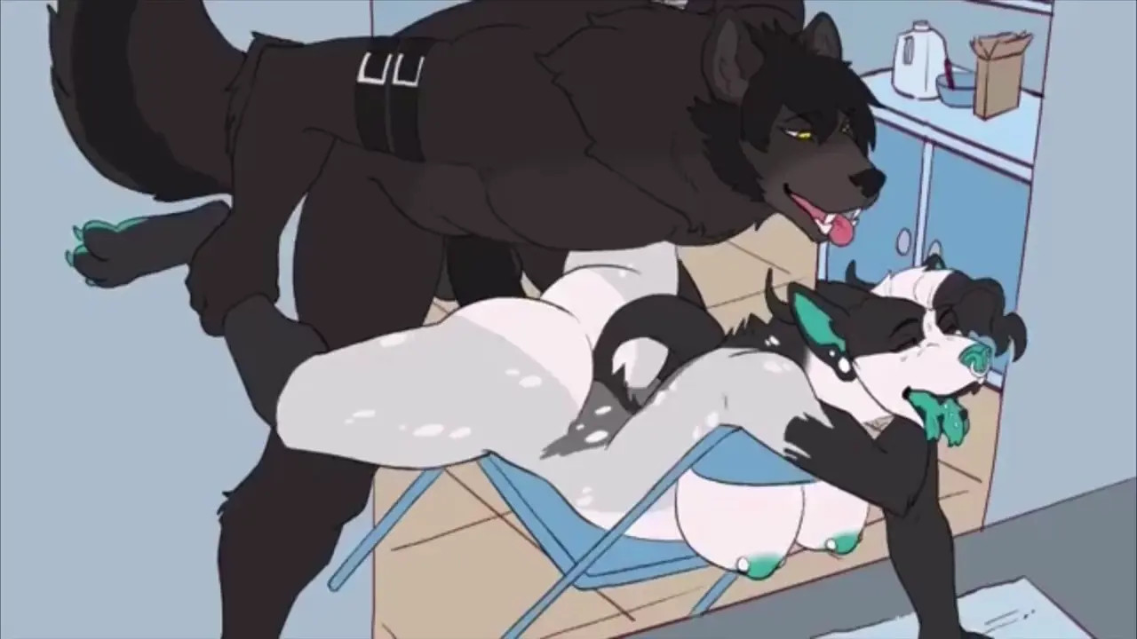 Brolaren Furry HMV