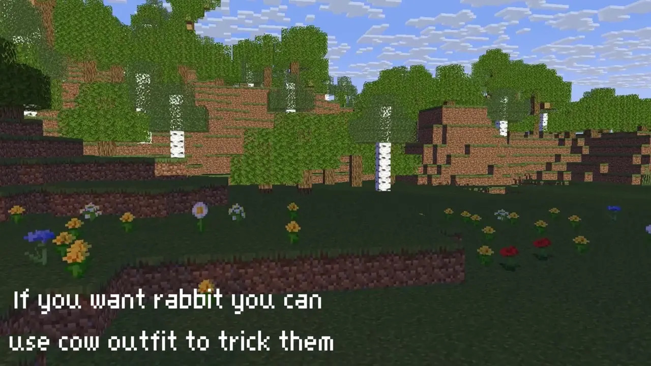 Ellie hunt some rabbit