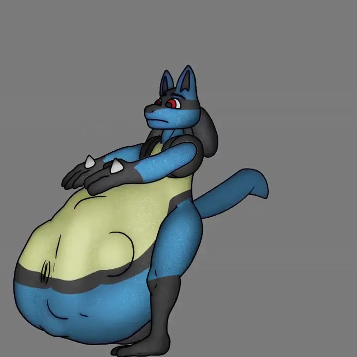 lucario with the gym partner