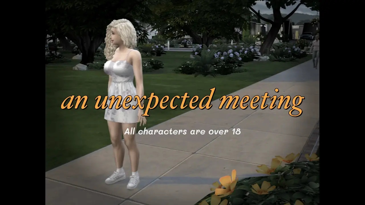 An unexpected meeting (Bimbo futa)