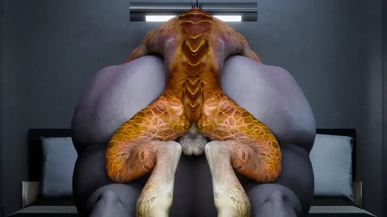In sesion with Sangheili