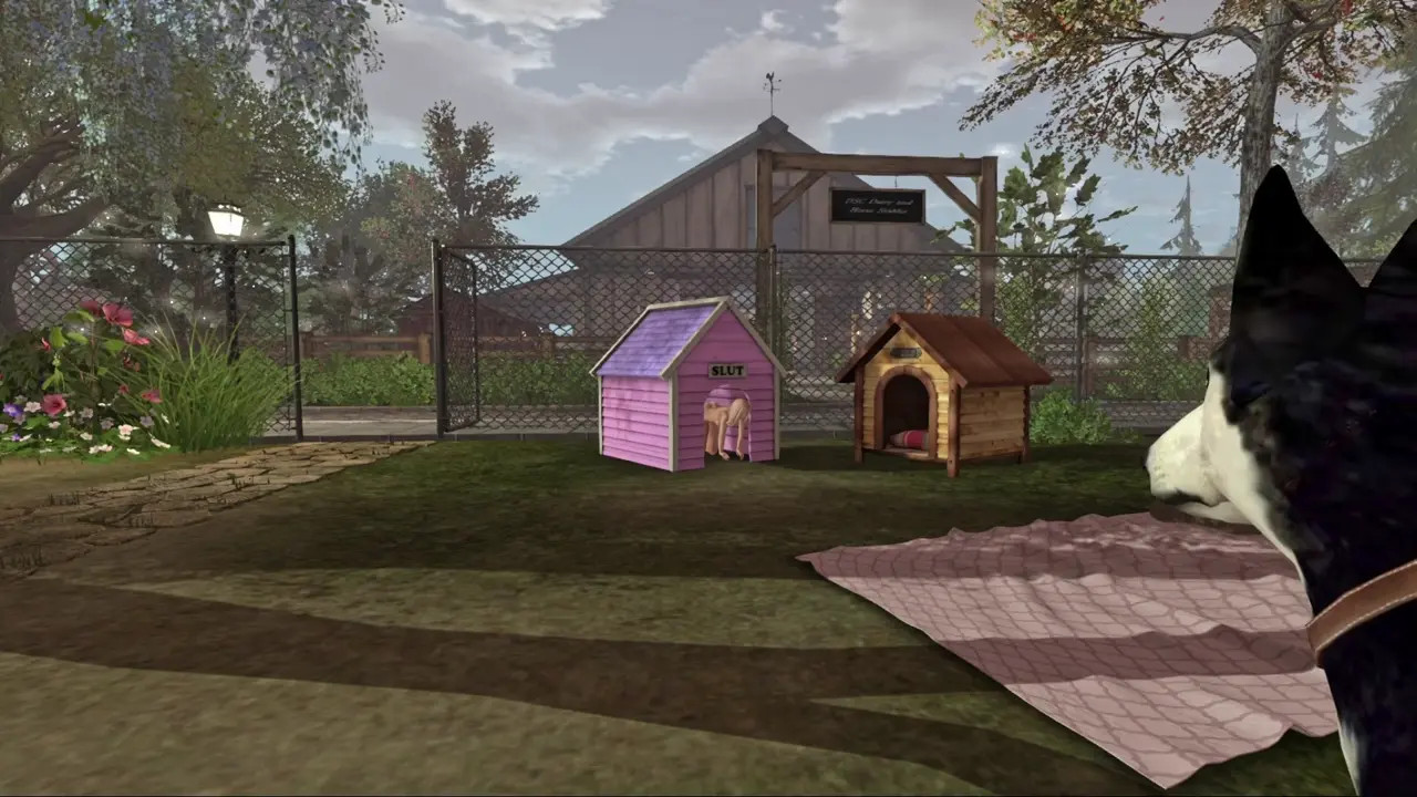 In the Doghouse