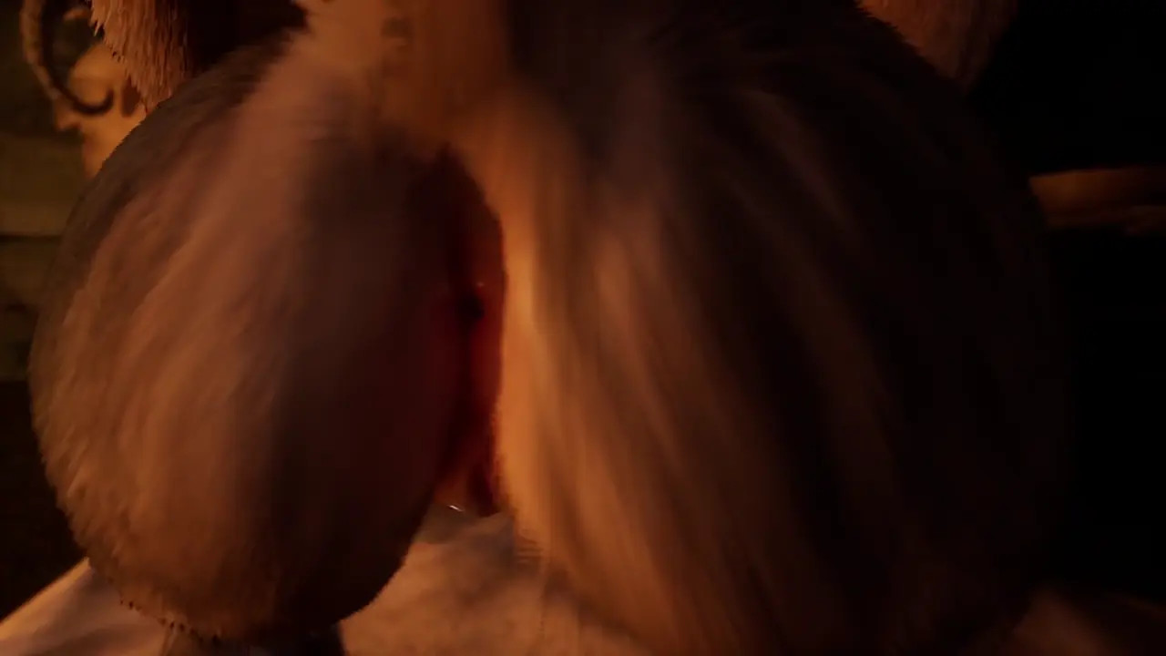 Oral Service for the Wolf Huntress