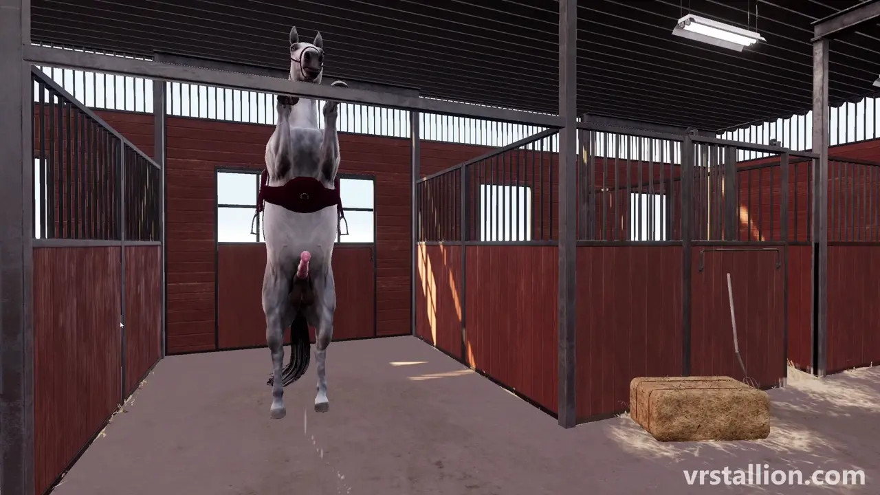 VR Stallion 1.5 | Desktop Gameplay