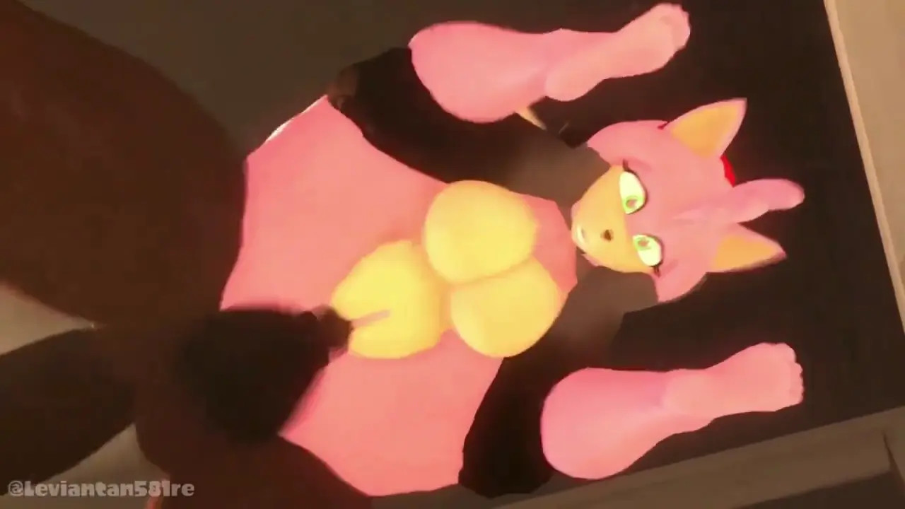 Amy's Border Visit (spanish dub)