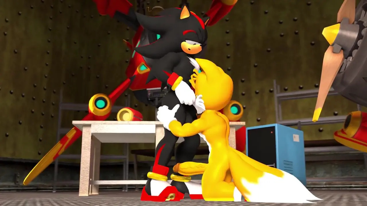 Tails Checking Shadow's Gun (sound)