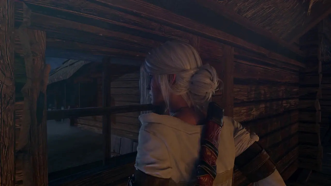 The Witcher - The Debt [ToughCookieSV][4K60FPS]