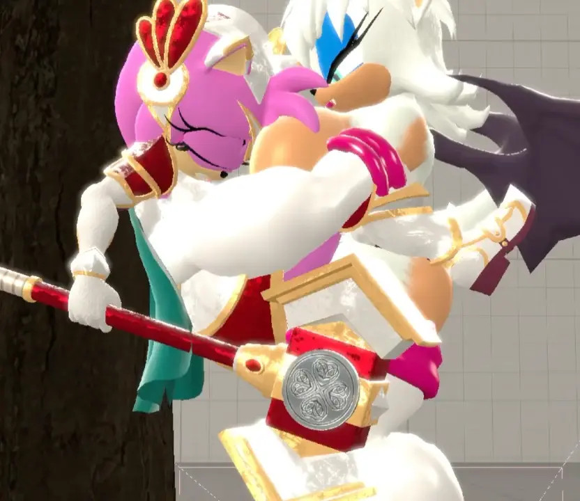 [SilverTilver] Paladin Amy and Were Rouge