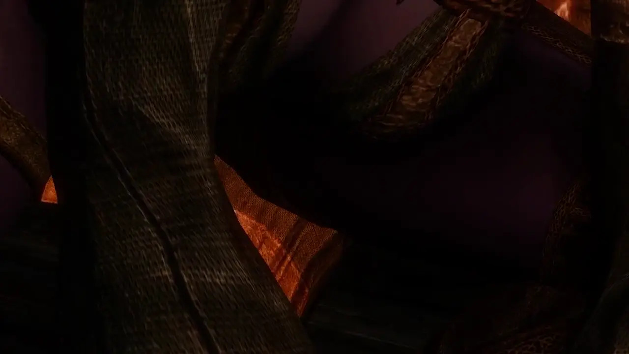 Visiting Faendal