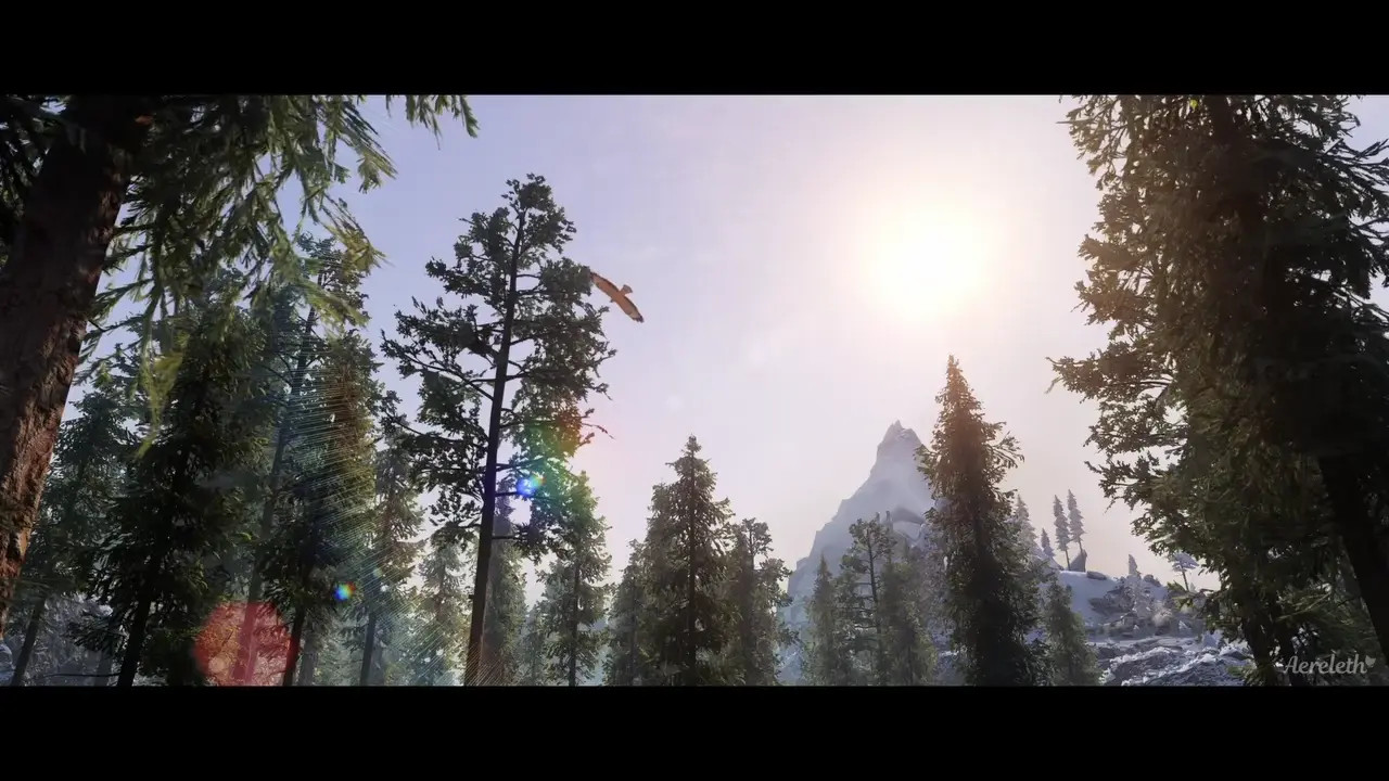 Skyrim Delivery Service
