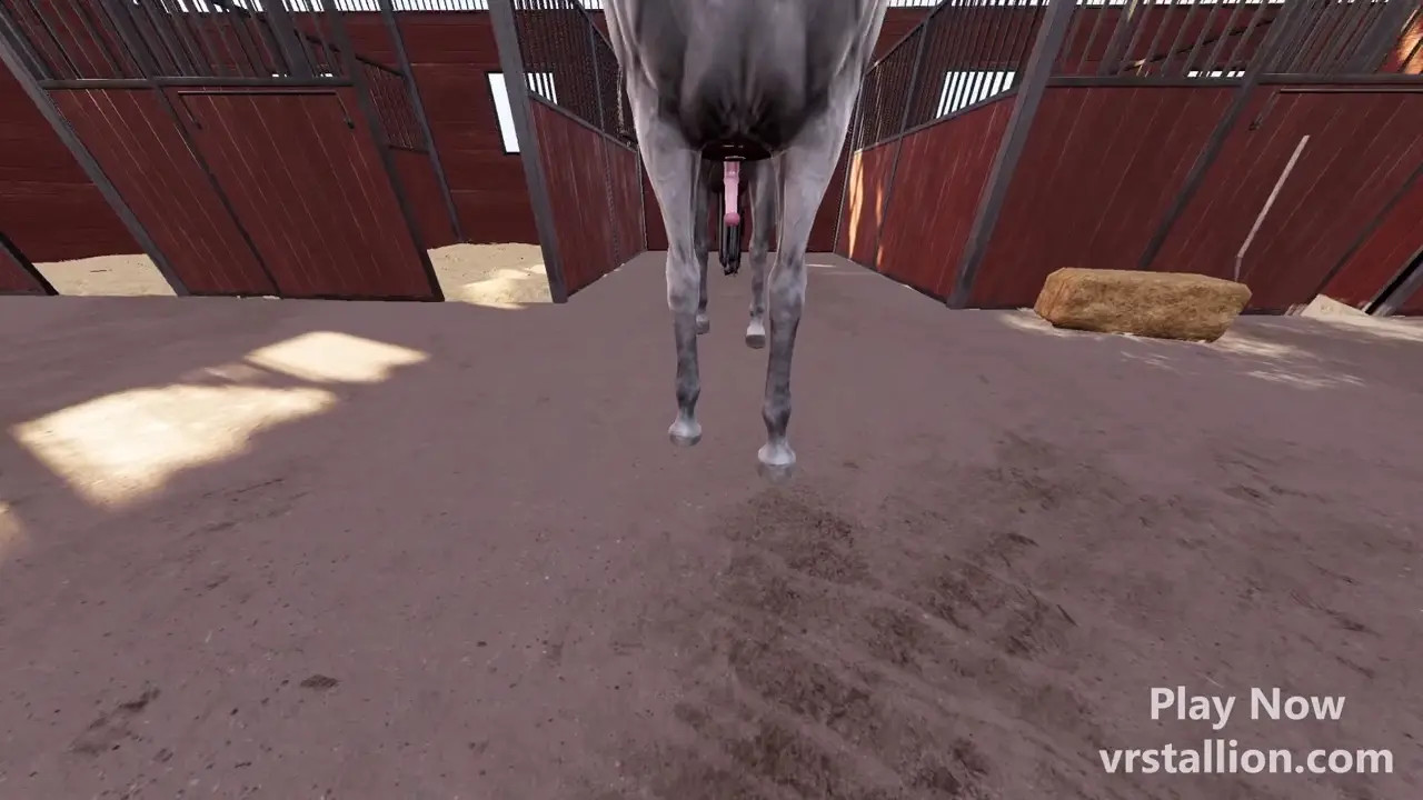 Gameplay Dektop POV | VR Stallion