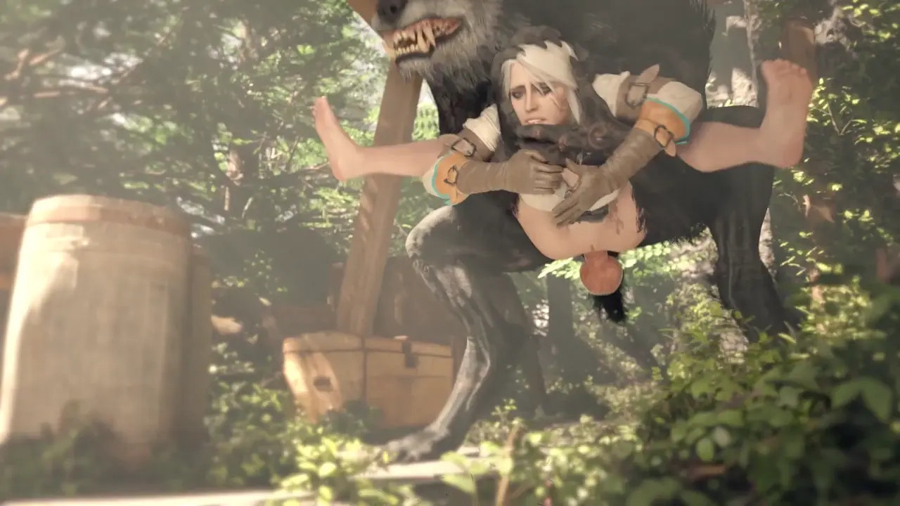 Ciri and Werewolf
