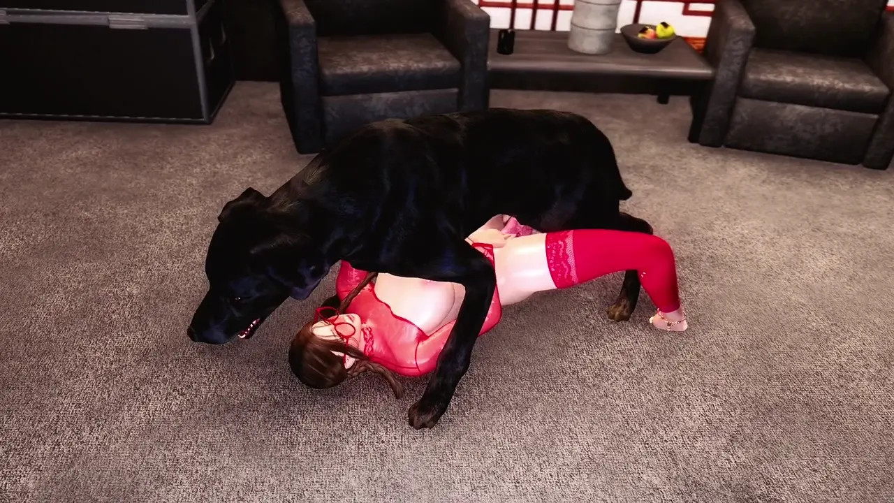 Dog Mates With A Girl