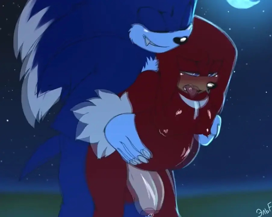 Sonic and Knuckles [Krazyelf]