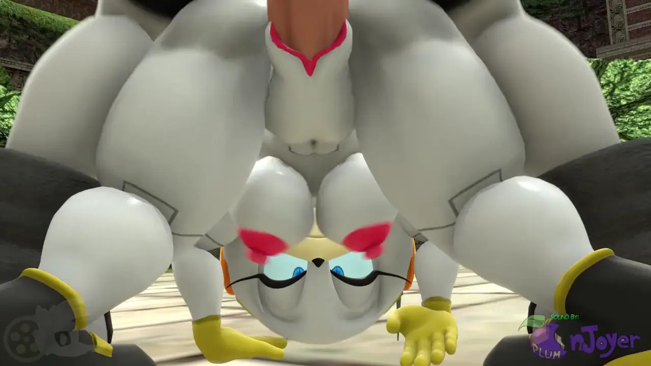 Zeta The Echidna