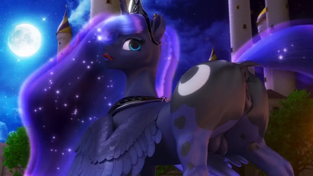 Little Pony, Big Booty