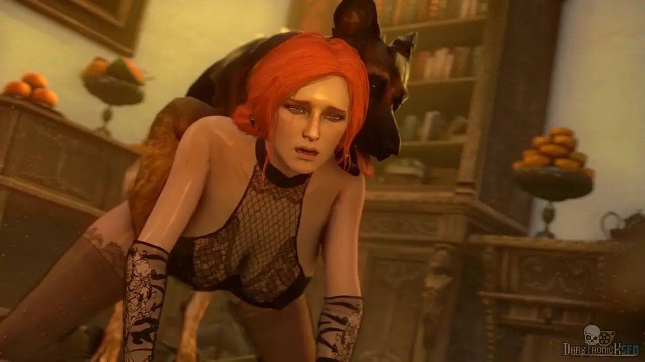 Triss X Dog [Preggo] [Loop]